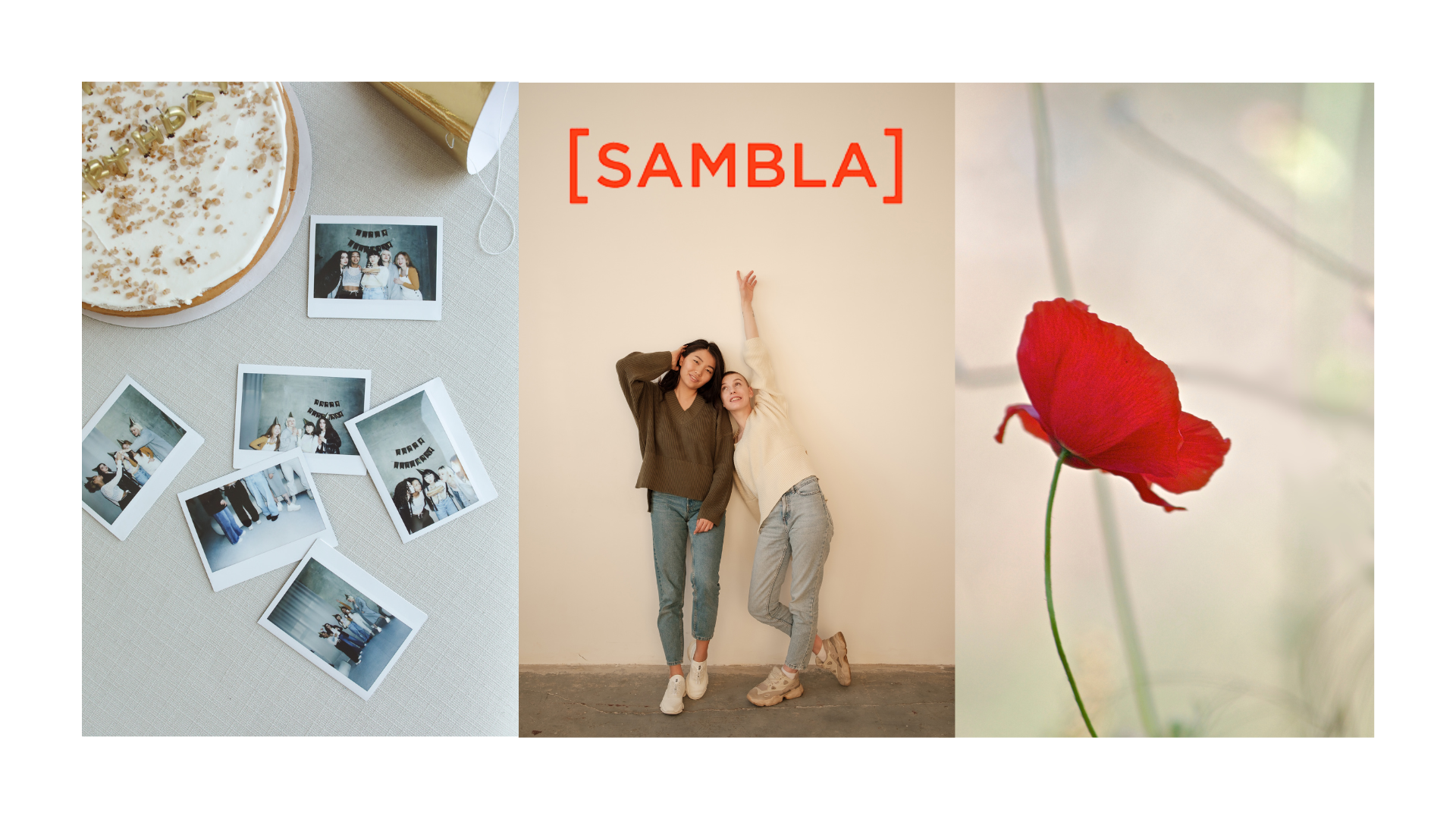 Sambla: Vad är det, hur man ansöker och granskar